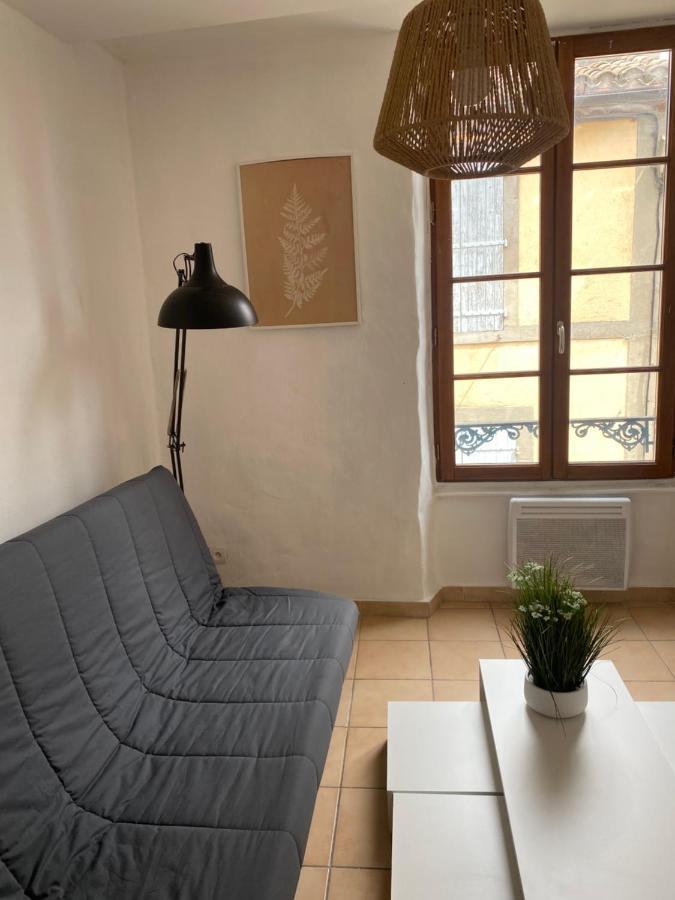 شقة Carcassonne Situe Plein Centre المظهر الخارجي الصورة